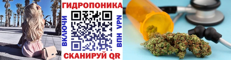 Шишки марихуана семена Ленинградская